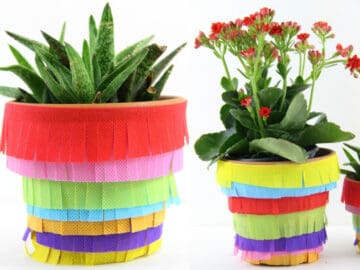 pinata flower pots