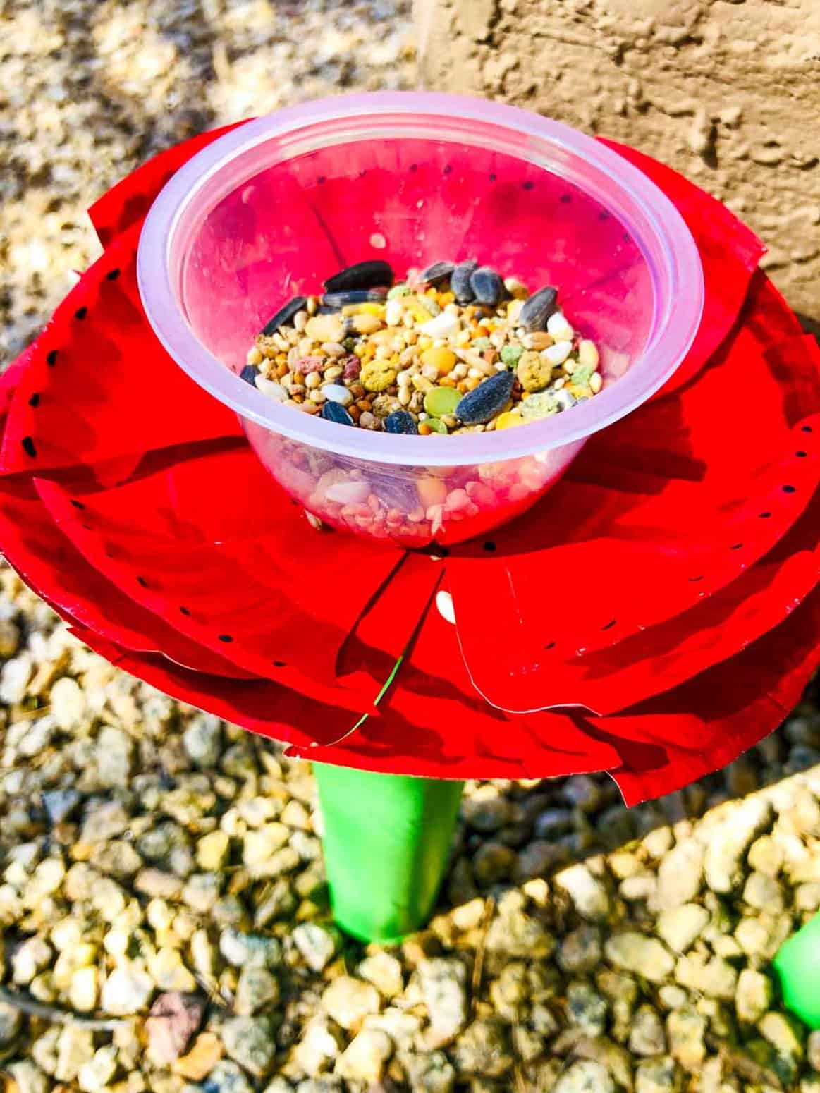 fill fruit cup with bird seed bird feeder