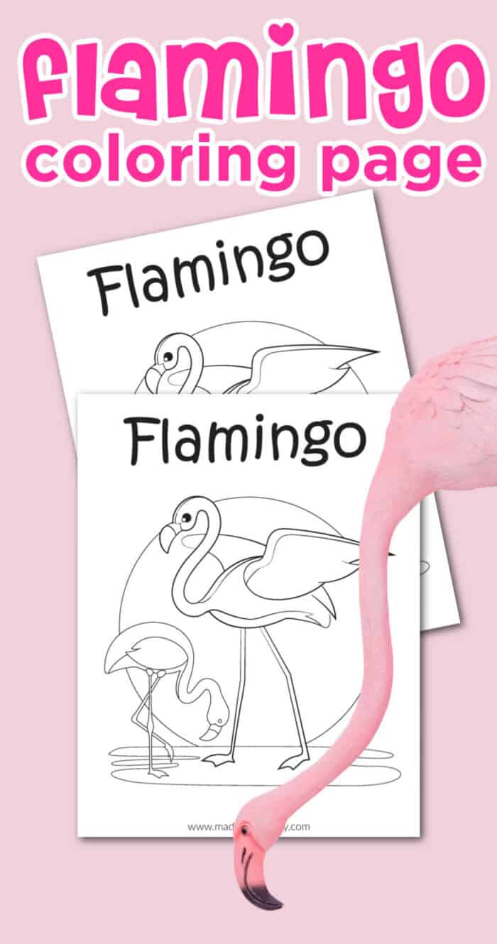 Flamingos Coloring Page