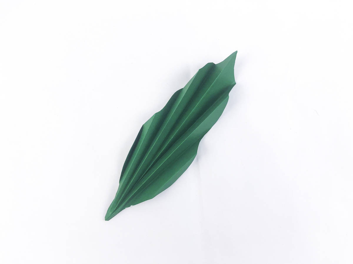 fold dark green leaf for caterpillar