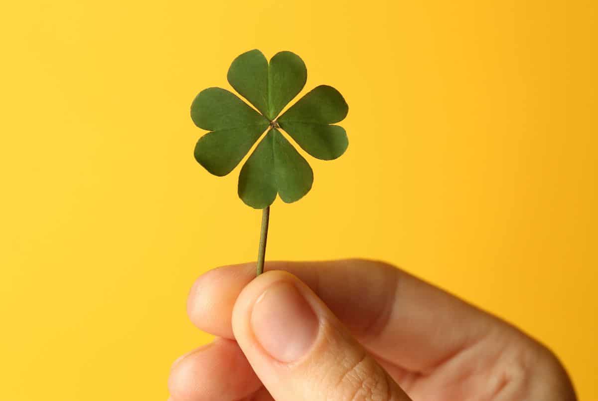 four-leaf clover meaning