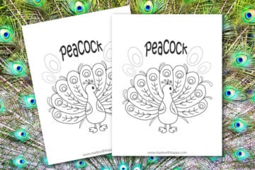 Free Printable Peacock Coloring Page - Made with HAPPY