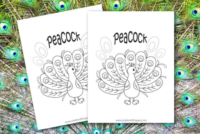 Free Printable Peacock Coloring Page - Made with HAPPY