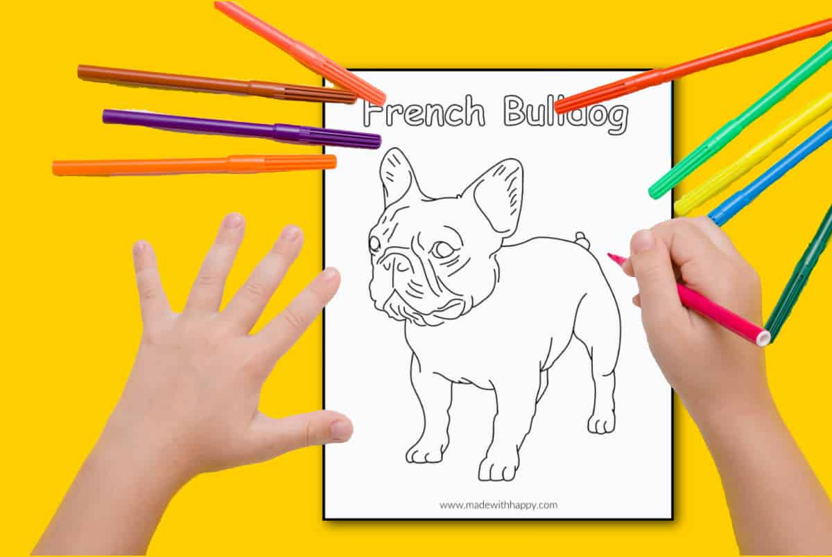 french bulldog coloring sheet