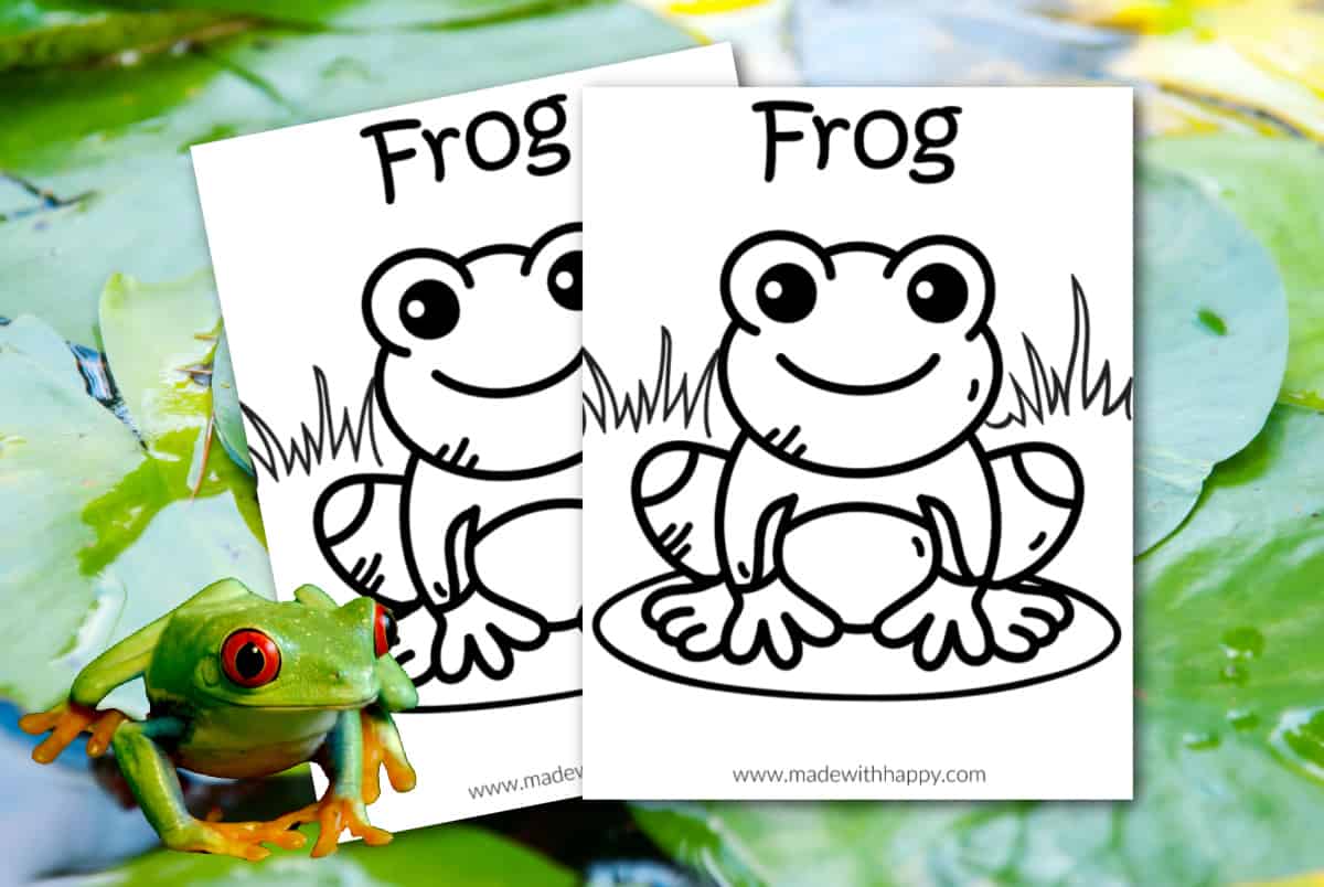 frog coloring page