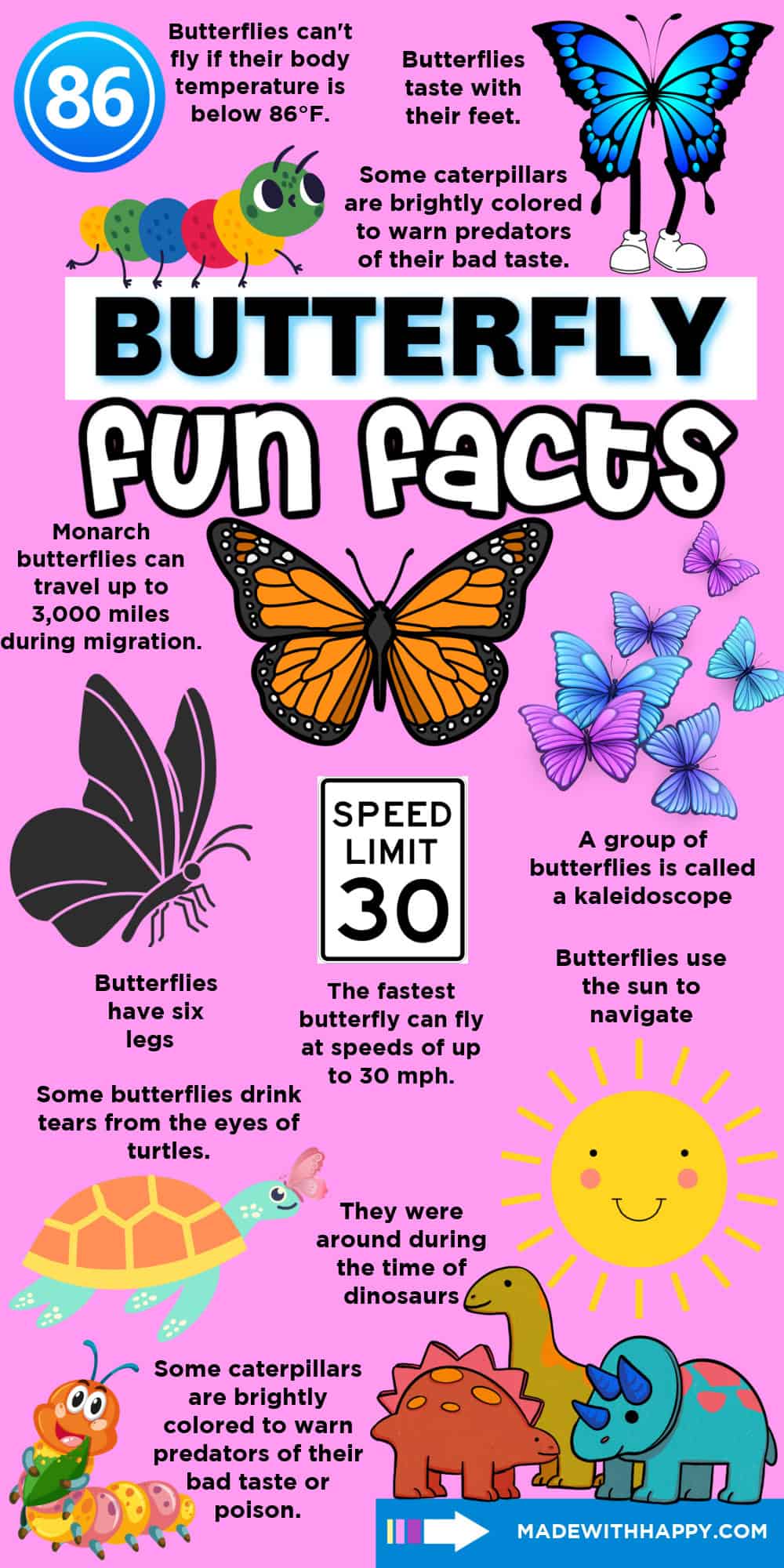 fun facts about butterflies