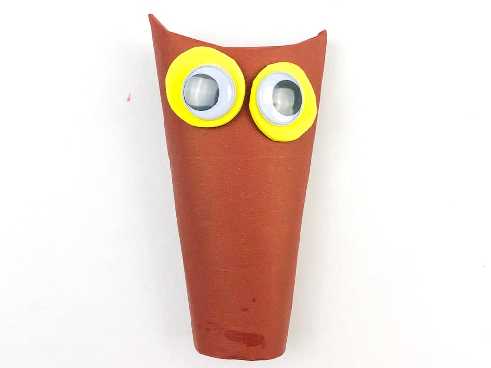 glue yellow circles with googly eyes onto owl body