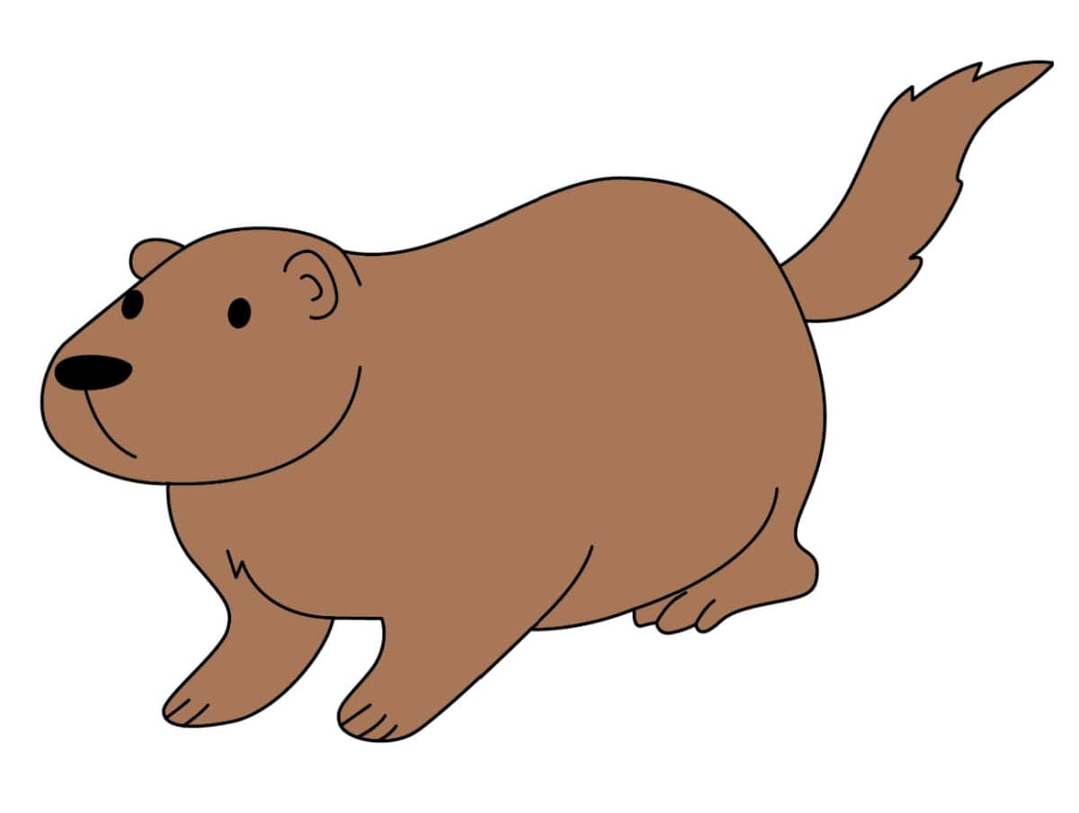 groundhog drawing colored