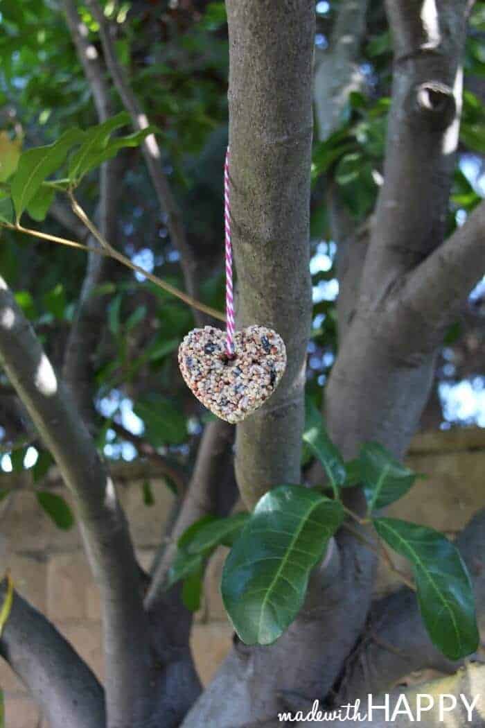 hanging-birdseed-feeder