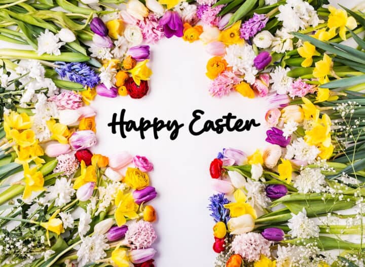 Facts About Spring - Made with HAPPY