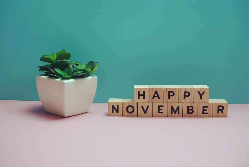 November Fun Facts - Made with HAPPY