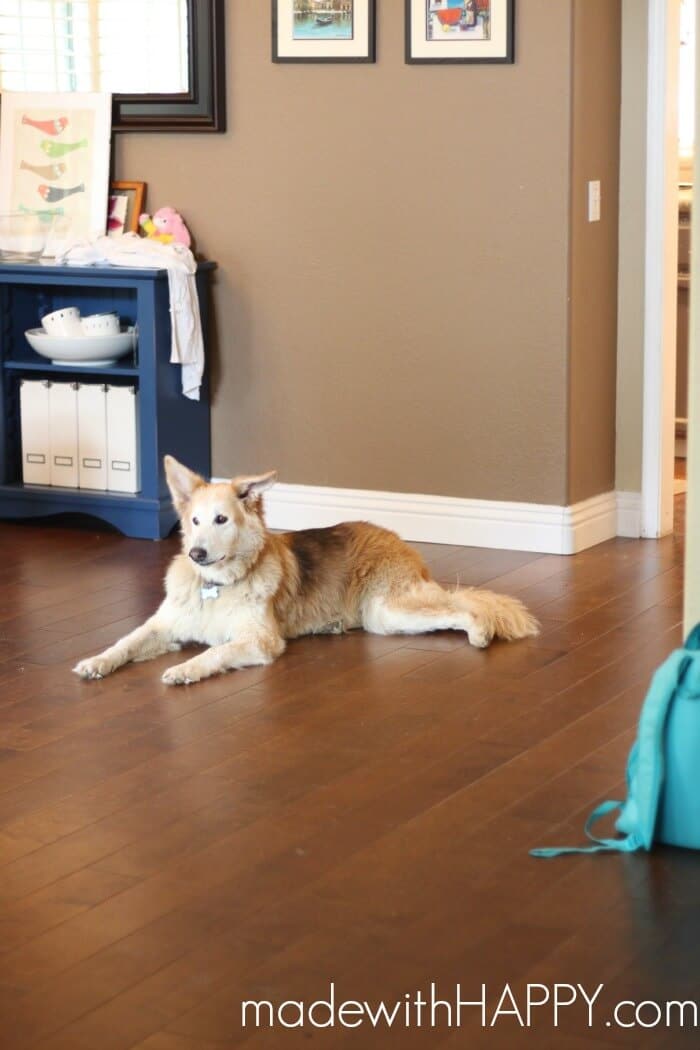 hardwood-floors