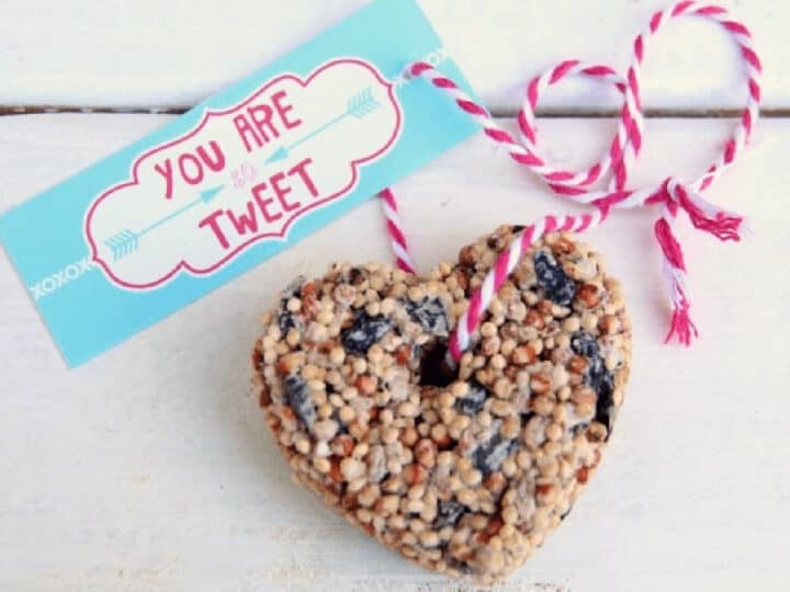 heart bird seed ornaments