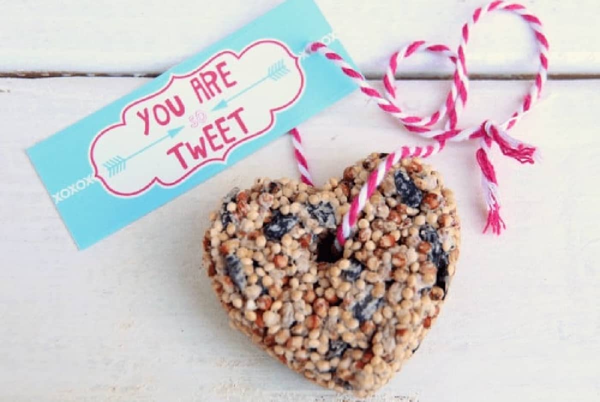 heart bird seed ornaments