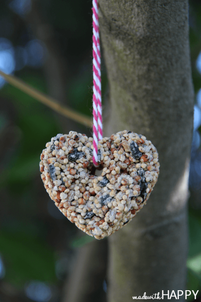 Bird Seed Feeder 1/4 lb Heart ornament with hanger Organic 