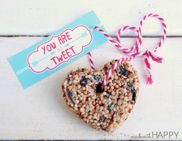 How to make a birdseed heart and free printable valentine. Perfect non-candy valentine that the kids will love to make!