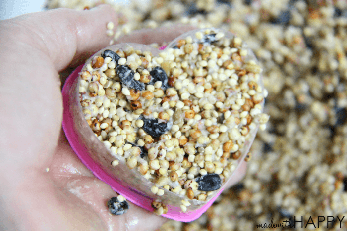 How to make a birdseed heart and free printable valentine. Perfect non-candy valentine that the kids will love to make!