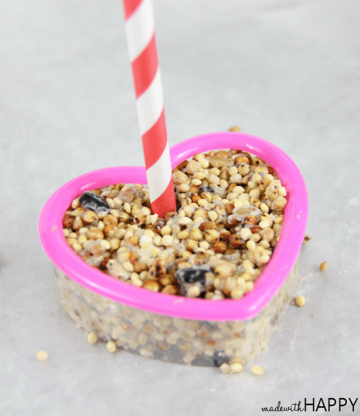 How to make a birdseed heart and free printable valentine. Perfect non-candy valentine that the kids will love to make!