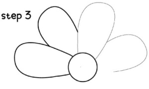 Flower Drawing Step 3