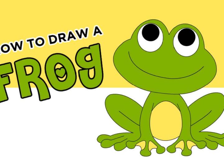 How to Draw a Frog Easy