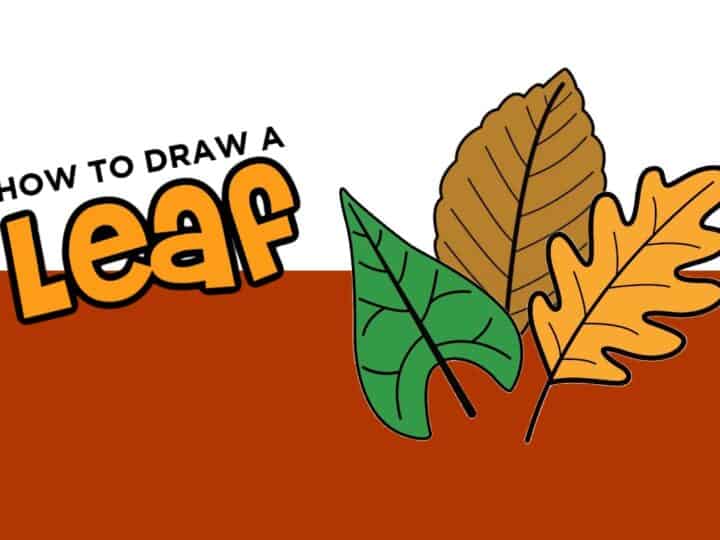 how to draw a leaf