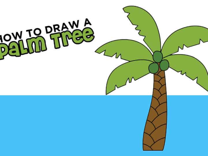 how to draw a palm tree