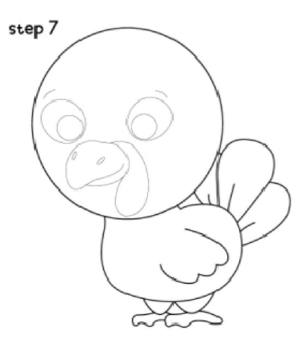 turkey drawing step 7