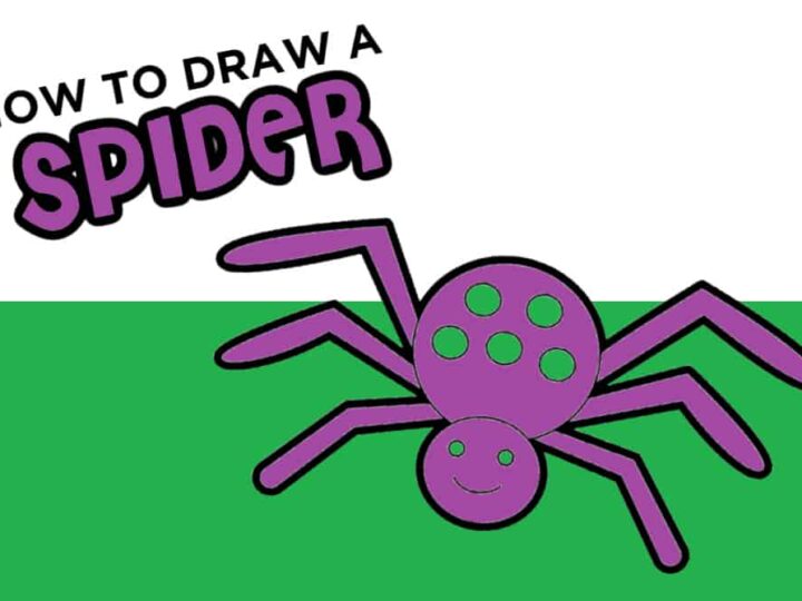 how to draw an easy spider