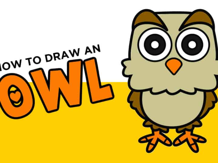 how to draw an owl