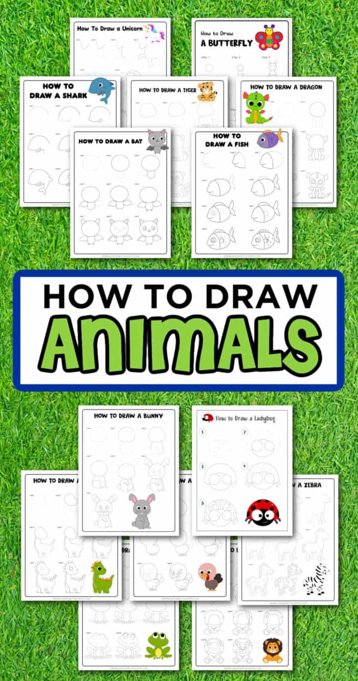 how to draw animals easy
