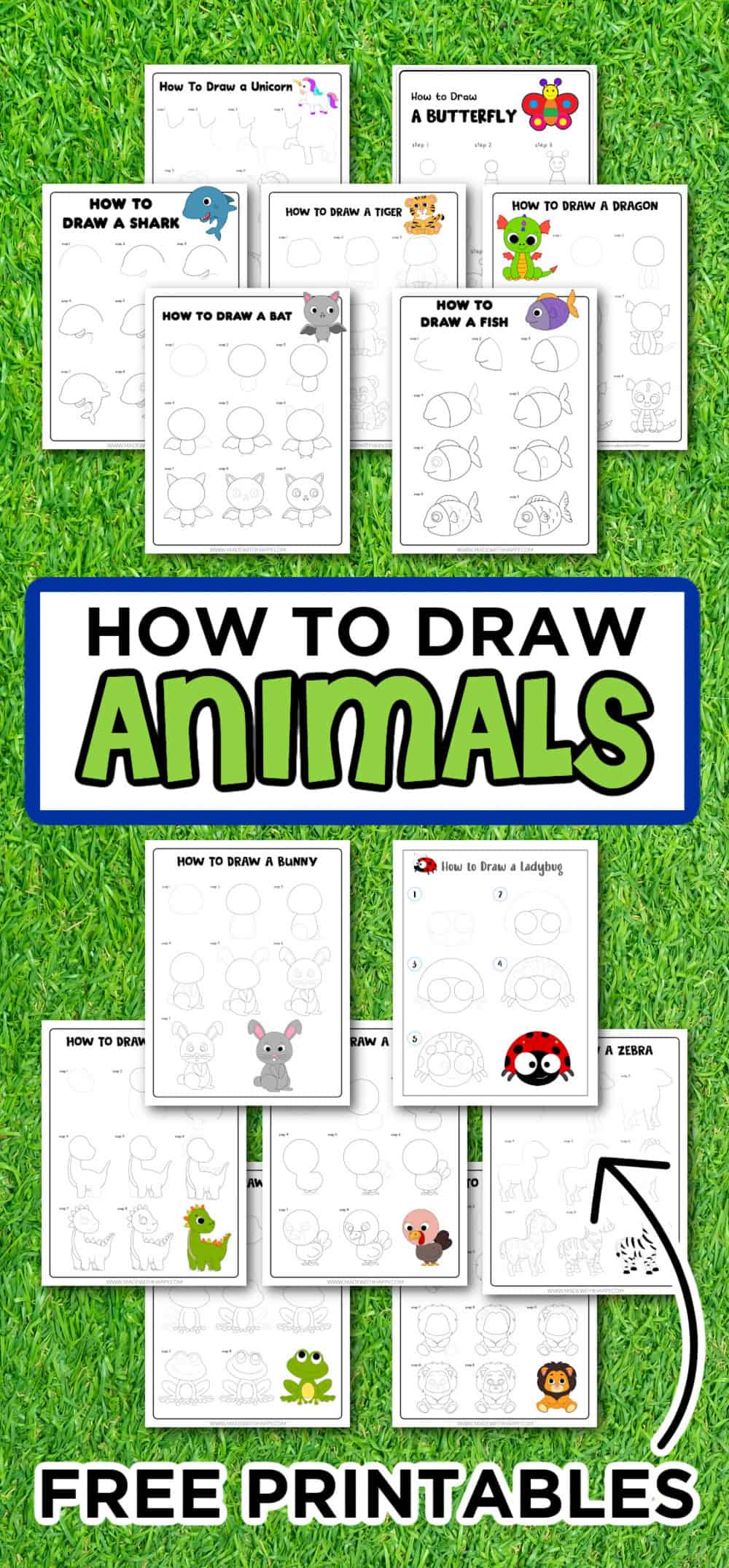 how to draw animals step by step