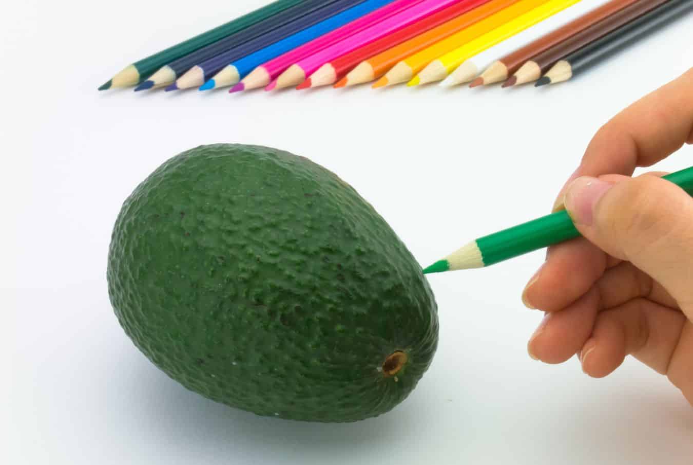 how to draw avocados