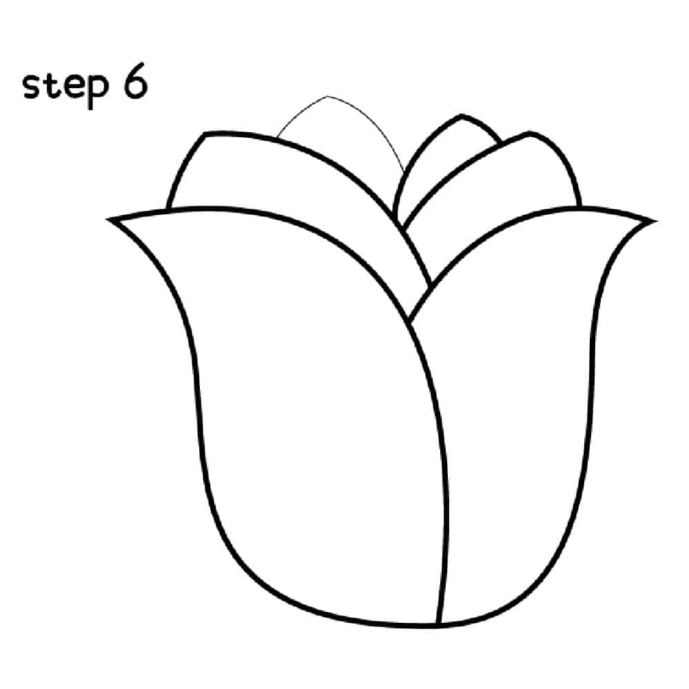 How to Draw Easy Rose Step 6