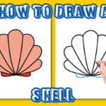 how to draw sea shells