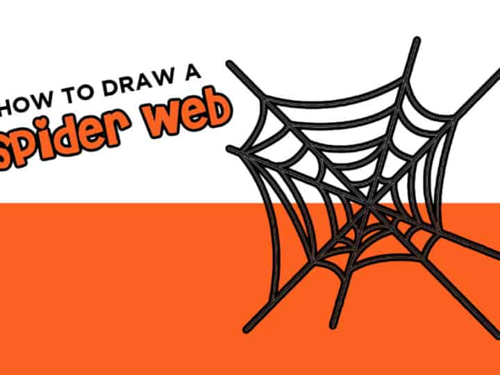 how to draw spider web