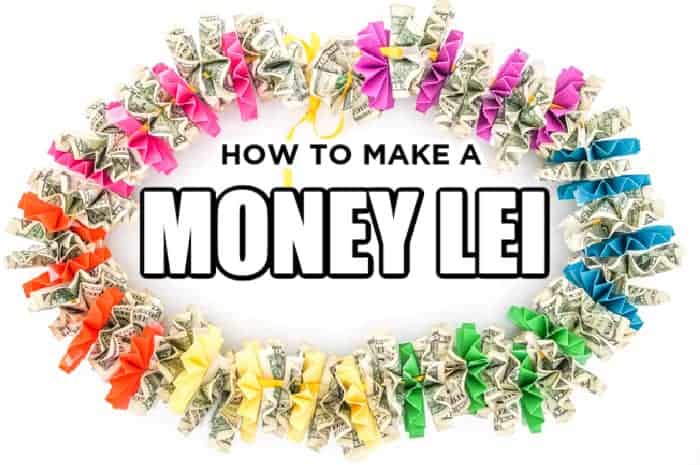 Rainbow Money lei