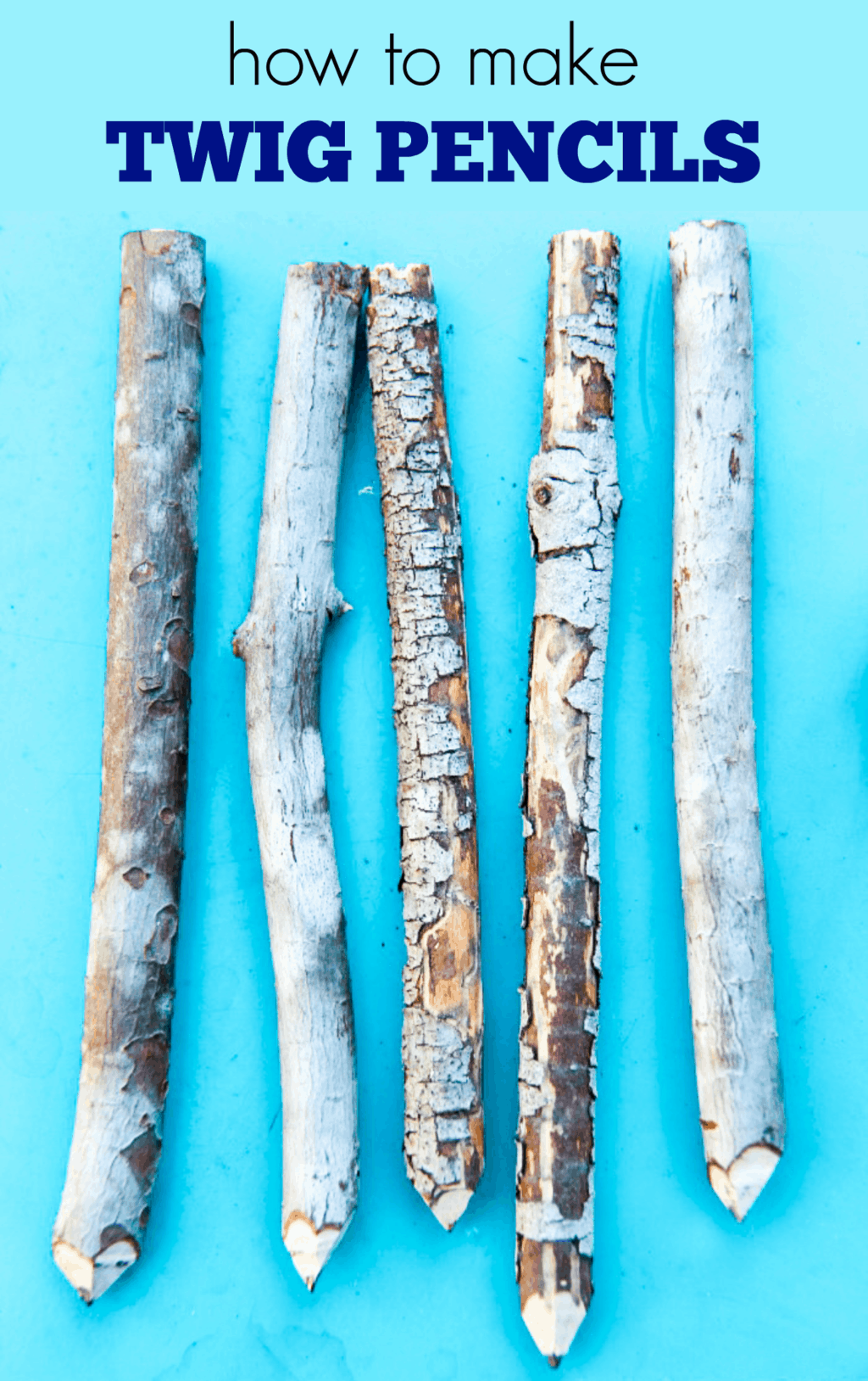 twig pencils