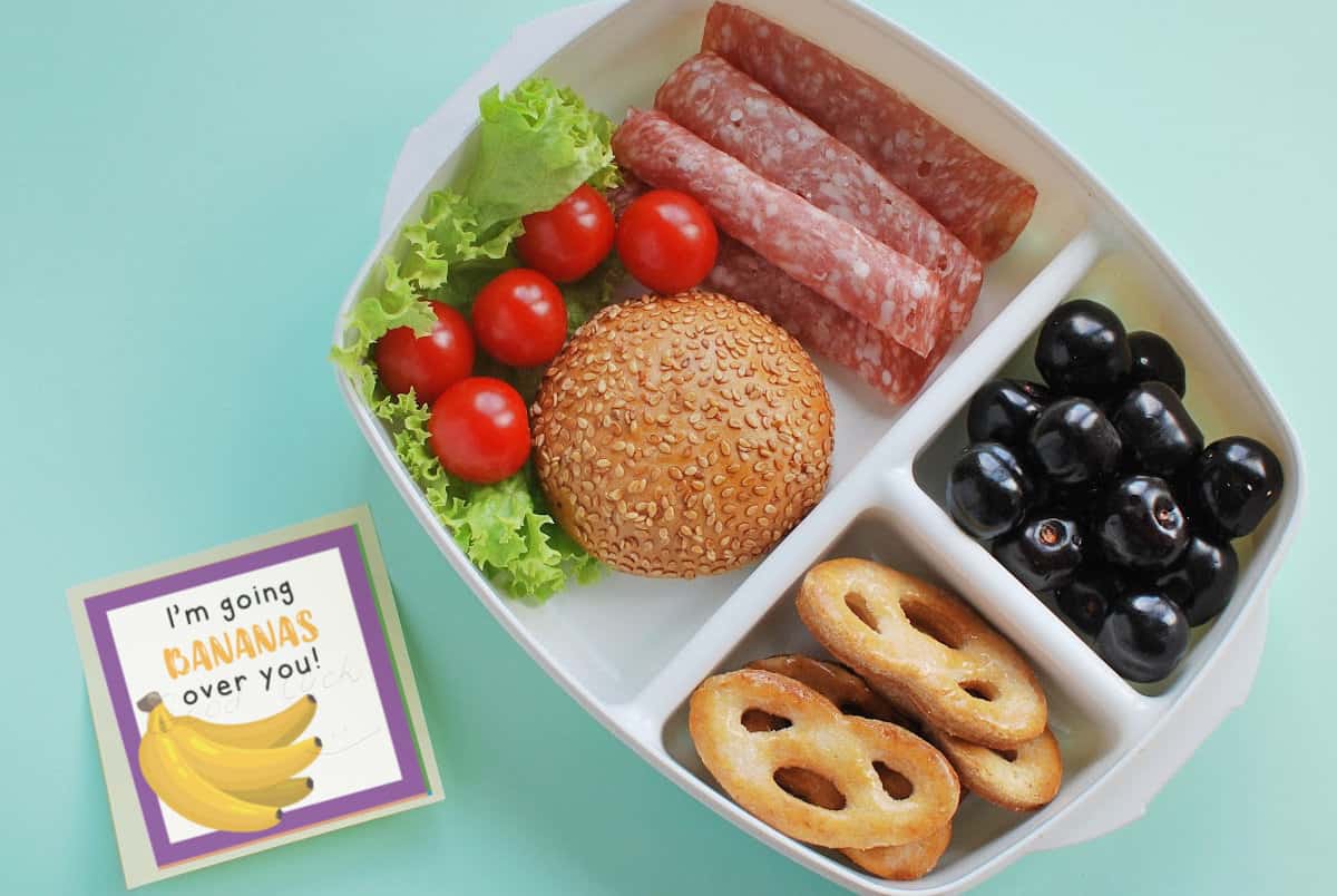 kids lunch notes with child's lunch box
