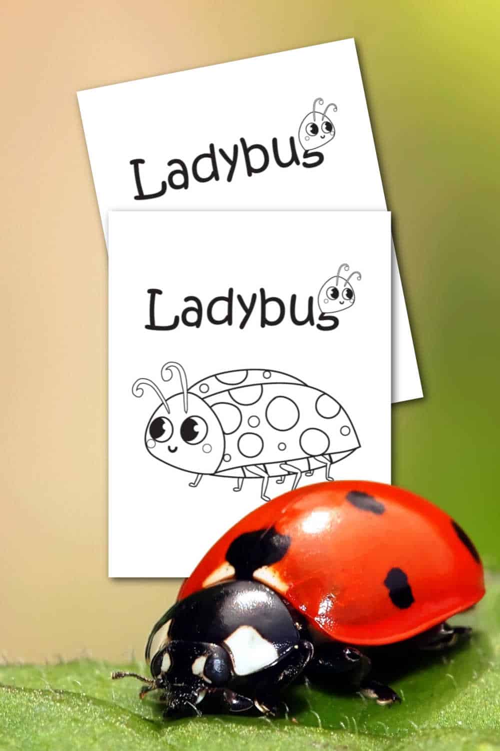 Lady Bug Coloring Pages