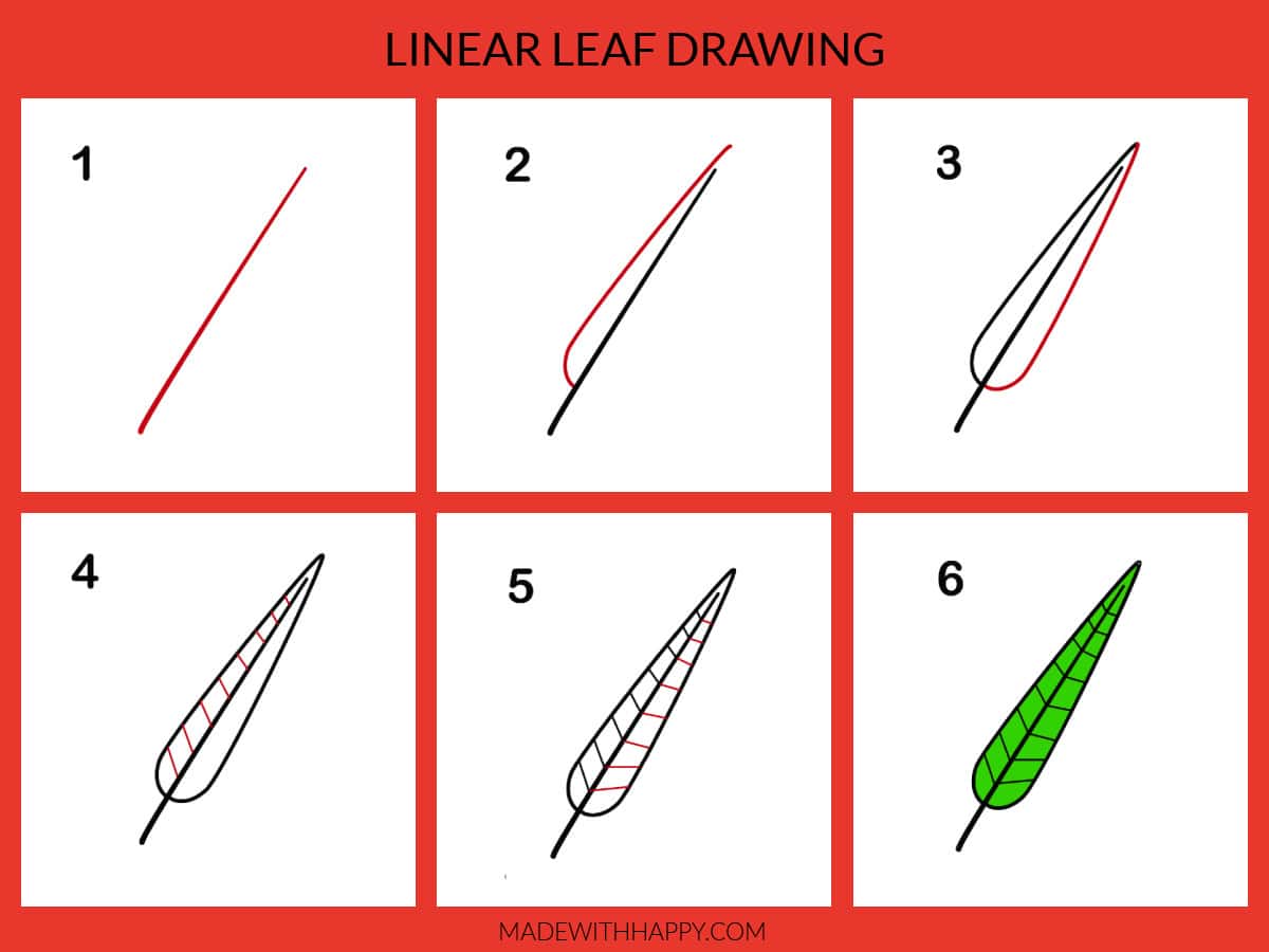 linear leaf drawing