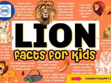 35+ Reindeer Facts For Kids - Free Printables - Made with HAPPY