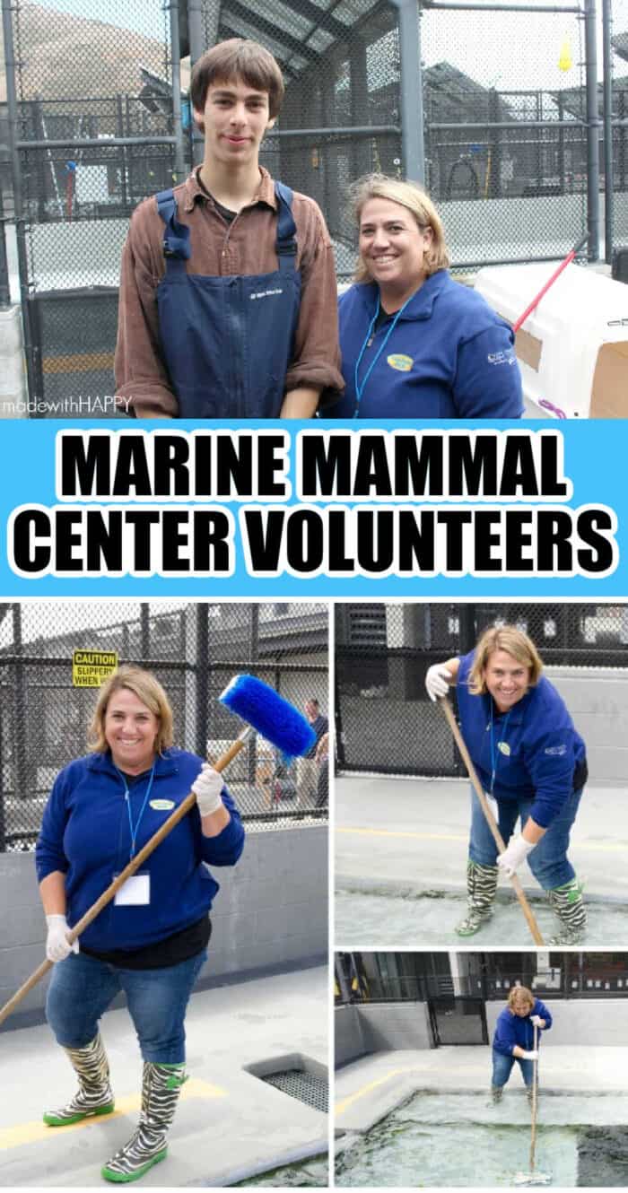volunteers - marine mammal center