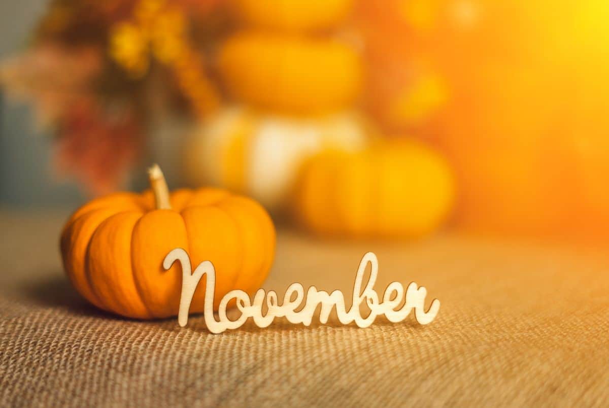 Month of November