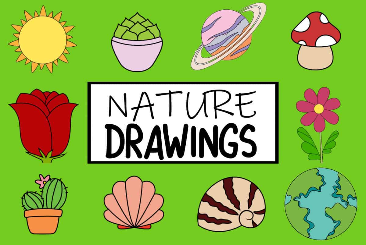 Nature Drawing