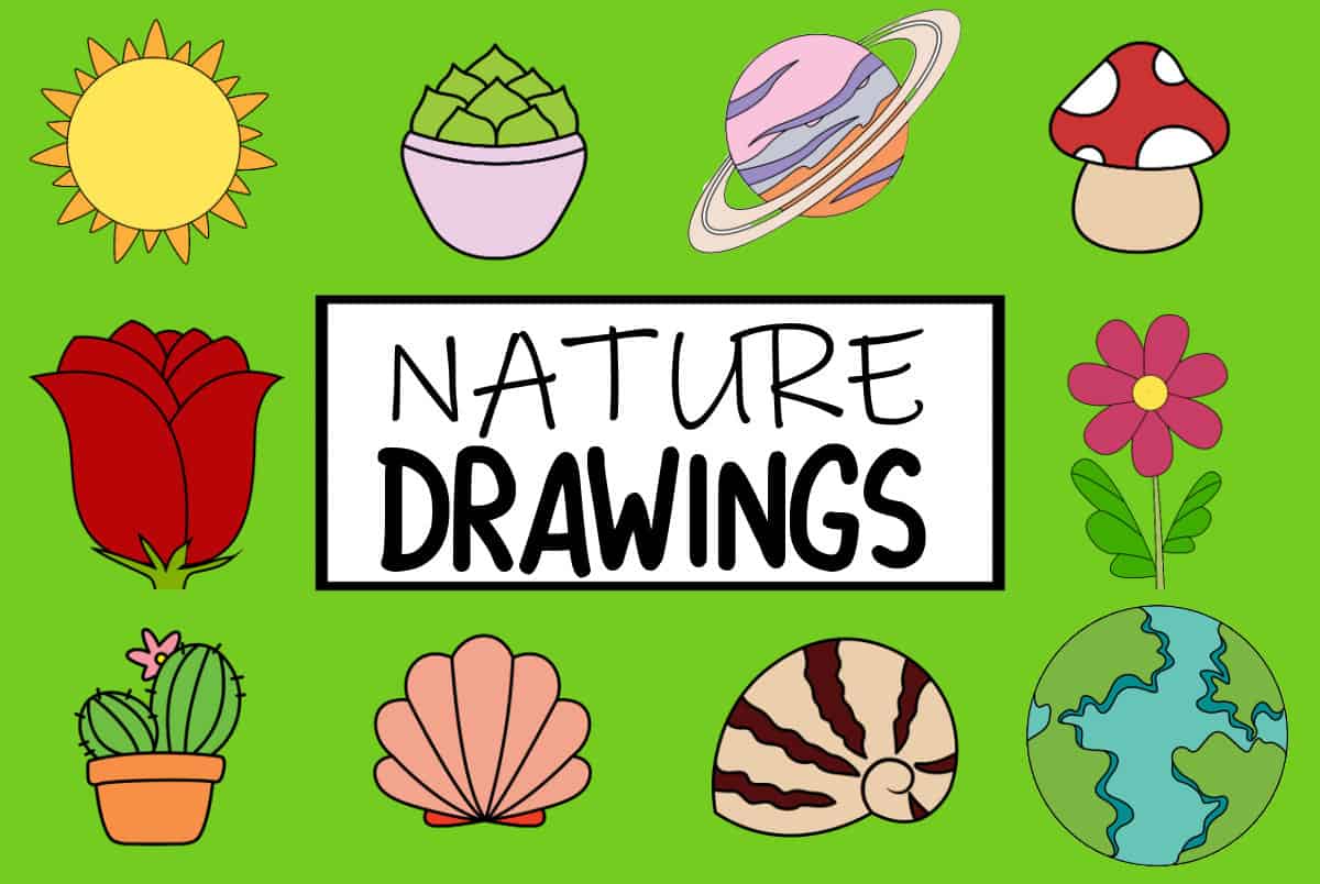 Nature Drawing