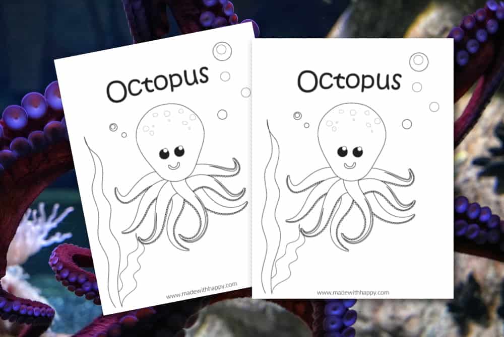 octopus coloring