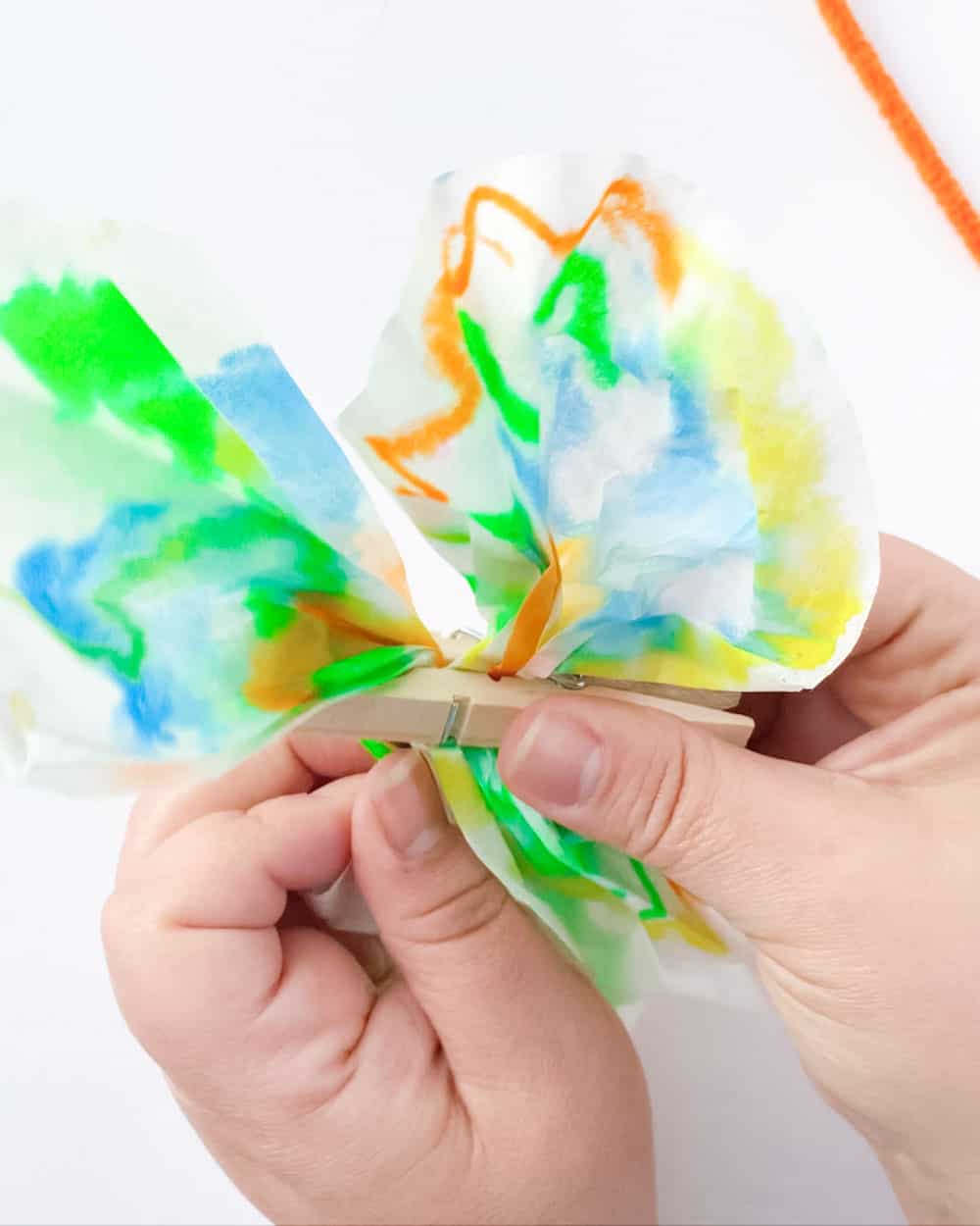 open coffee filter butterfly wings