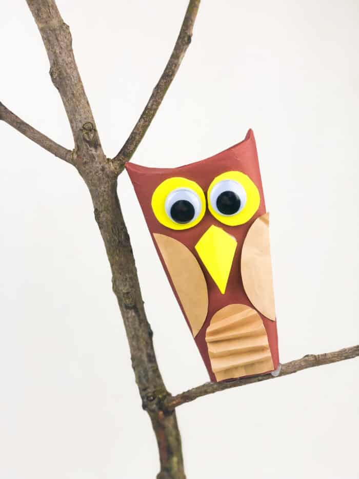 owl craft paper