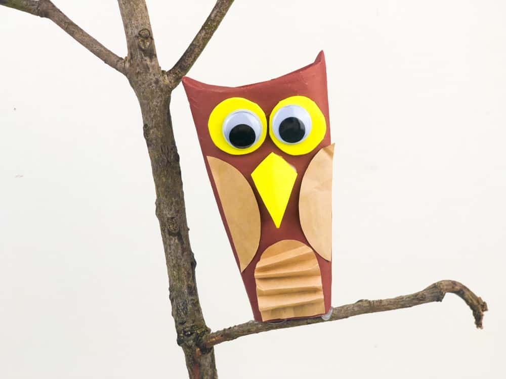 owl craft