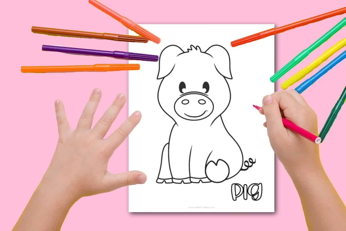 pig coloring page for kids